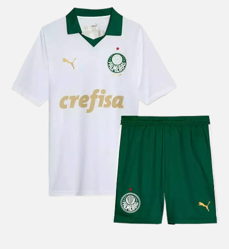 Conjunto Infantil Palmeiras II 24/25